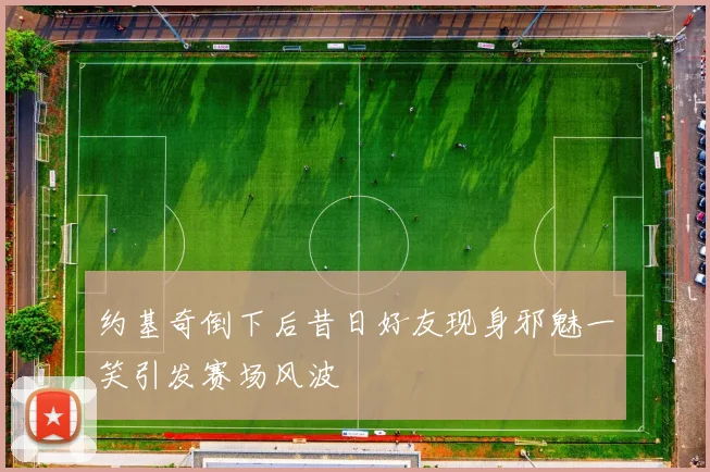 约基奇倒下后昔日好友现身邪魅一笑引发赛场风波