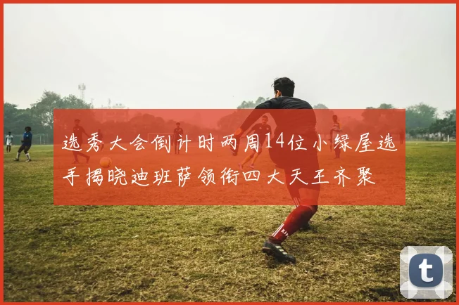 选秀大会倒计时两周14位小绿屋选手揭晓迪班萨领衔四大天王齐聚
